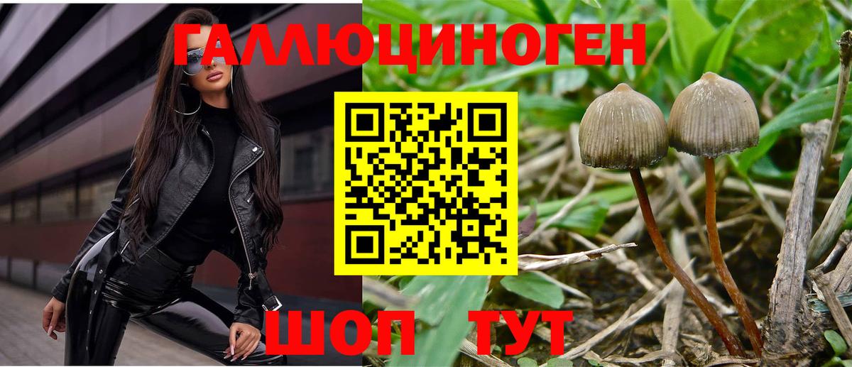 Псилоцибиновые грибы мухоморы  Вход с VPN  Янаул 